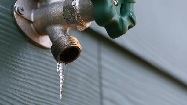 Best Leak Detection Services  in Sayre, PA